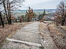 Milsk kopec nad Vysokou nad Labem (28. 1. 2022)