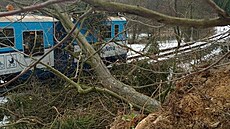 Silný vítr komplikuje kvli popadaným stromm dopravu na eleznici. (30. ledna...