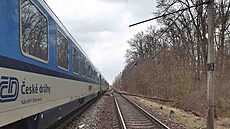 Pád stromu zastavil železniční dopravu na trati nedaleko Lanžhota na... | na serveru Lidovky.cz | aktuální zprávy