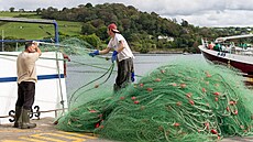 Ir�tí rybá�i (15. zá�í 2021)