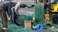 Ir�tí rybá�i (8. ledna 2022)