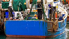 Irští rybáři (13. ledna 2022) | na serveru Lidovky.cz | aktuální zprávy