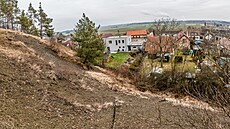 Milířský kopec nad Vysokou nad Labem (28. 1. 2022)