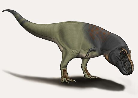 T.rex mohl inteligencí a kognitivními schopnostmi údajn pekonávat i souasného paviána