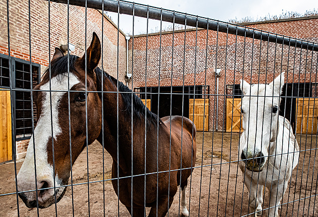 Chátrající pevnost potřebuje přes sedm miliard. Josefov má novou naději