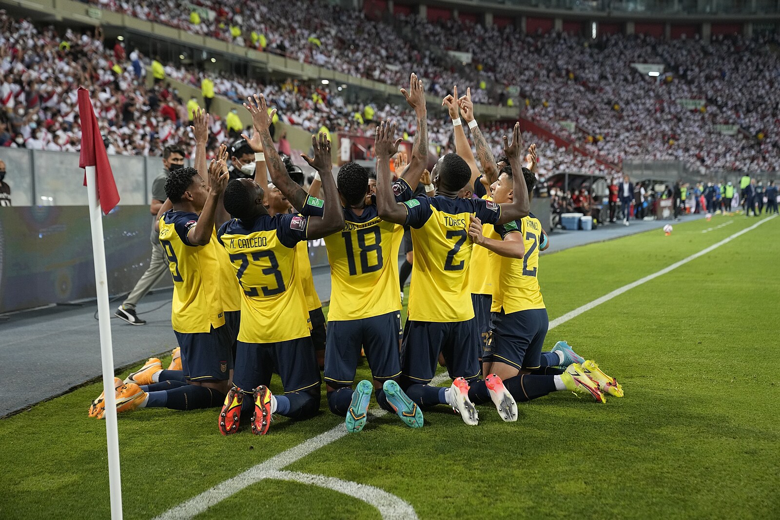 MS 2022 - Fotbal | Ekvádor zatím o MS nepřišel. FIFA odvolání Chilanů  podruhé zamítla - iDNES.cz
