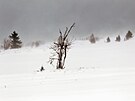 Vítr rozfoukával sníh na louce pod Neklidem. (7. února 2022)