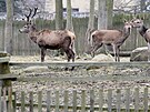 Obora v �ásti Msti�ov m�sta Dubí na Teplicku.