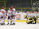 Hokejová extraliga, 48. kolo, Litvínov - Tinec.  Tinec slaví gól, Denis...