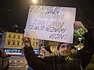 Demonstrace iniciativy Chcípl PES na praském Klárov ped projednáváním...