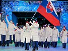 Slavnostní zahájení XXIV. zimních olympijských her.  Vlajkonoi slovenské...