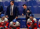 Hlavní trenér eské republiky Filip Peán bhem utkání ledního hokeje mezi...