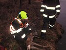 Srn�, kter� uv�zla uprost�ed rybn�ka u Doma�lic, pom�hali na svobodu hasi�i ve...
