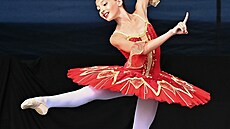 Nad�jná jedenáctiletá baletka, tane�nice a muzikantka  Laura Mohylová z...