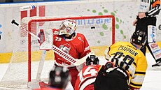 Utkání 44. kola hokejové extraligy: HC Olomouc - HC Verva Litvínov. Brankář...