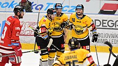 Utkání 44. kola hokejové extraligy: HC Olomouc - HC Verva Litvínov. Radost z...