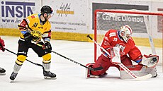 Utkání 44. kola hokejové extraligy: HC Olomouc - HC Verva Litvínov. Zleva Matúš...