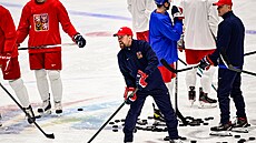 Trénink české hokejové reprezentace na OH v Pekingu 2022. Filip Pešán a jeho...