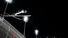 Roman Koudelka v závodu smíšených družstev ve skocích na lyžích na ZOH v...