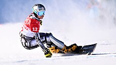 Ester Ledecká během finále paralelního obřího slalomu na olympijských hrách v...