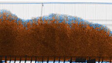 ilustra�ní snímek