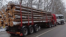 P�tadvacetiletý �idi� tohoto kamionu odmítl nechat automobil nalo�ený d�evem...