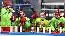 Ru�tí hokejisté na tréninku