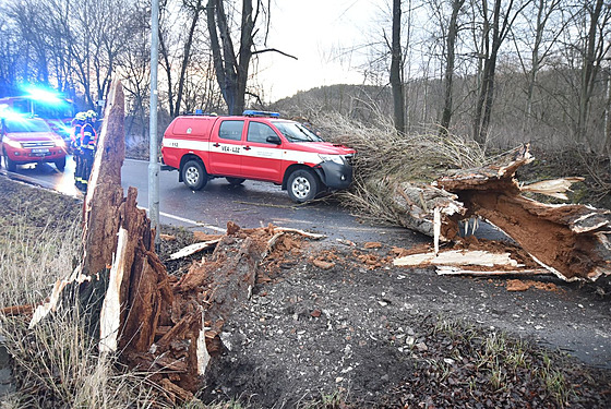 V Karlových Varech v ulici Závodní narazilo do spadlého stromu velitelské auto...