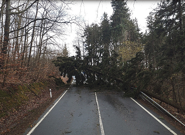 Na Česko udeří silný vítr. Může poškodit lesy i domy, varují meteorologové