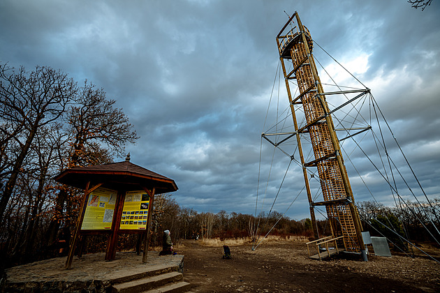 Rozhledna Závist od architekta Martina Rajnie u Dolních Bean