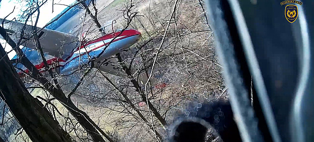 Kluzák přistál ve stromech po pozdní reakci pilota, odnesl to jen stroj