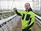Jednatel spole�nosti Leo� Zahr�dka ukazuje 22 tis�c sazenic jahodn�k�. Prvn�...
