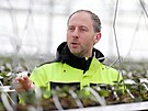 Jednatel spole�nosti Leo� Zahr�dka ukazuje 22 tis�c sazenic jahodn�k�. Prvn�...