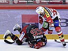 Utkání 44. kola hokejové extraligy: HC Ocelái Tinec -  HC Dynamo Pardubice....