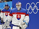 Slovenský hokejový branká Patrik Rybár nastupuje se spoluhrái na led.
