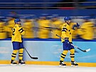 Olympijský turnaj mu v ledním hokeji. védsko - Slovensko. Joakim Nordström...