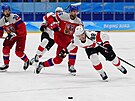 Olympijský turnaj mu v ledním hokeji. výcar Christoph Bertschy (88) brání...