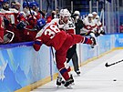 Olympijský turnaj mu v ledním hokeji. Na snímku Tomá Hyka v akci. (11. února...