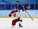 Olympijský turnaj v ledním hokeji. esko - výcarsko. ech Luká Klok slaví...