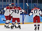 Olympijský turnaj tvrtfinále v ledním hokeji. esko - výcarsko. ech Luká...
