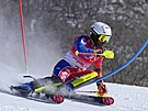 Richardson Viano z Haiti bhem druhé jízdy ve slalomu mu na ZOH v Pekingu...