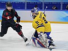 Olympijský turnaj v ledním hokeji. tvrtfinále védsko - Kanada. védský...