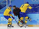 Olympijský turnaj v ledním hokeji. tvrtfinále védsko - Kanada. véd Christian...