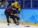 Olympijský turnaj v ledním hokeji. tvrtfinále védsko - Kanada. Kanaan Morgan...