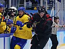 Olympijský turnaj v ledním hokeji. tvrtfinále védsko - Kanada. Kanaan Owen...