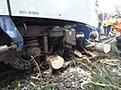 Vlak u obce Ran� vykolejil pot�, co narazil do popadan�ch strom�.