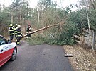 Hasi�i v Pardubick�m kraji po cel� den likvidovaly n�sledky v�trn� bou�e.