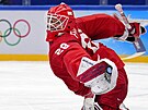 Ruský branká Ivan Fedotov bhem hokejového utkání mu Rusko - esko (12....