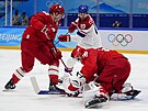 Roman ervenka bhem hokejového utkání mu Rusko - esko (12. února 2022)