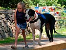 Bella jako tináctiletá se svým asistenním psem Georgem, který ji v deseti...